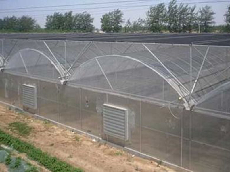 薄膜拱形連棟溫室